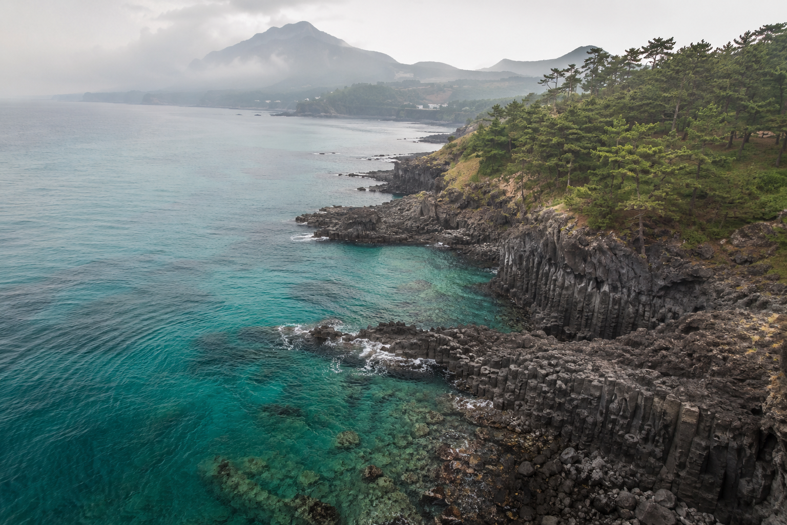 KDD 2026 Jeju Island: Travel Guide and Where to Stay
